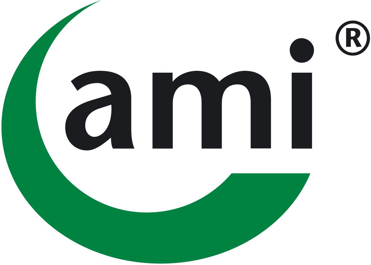 AMI Systemtechnik