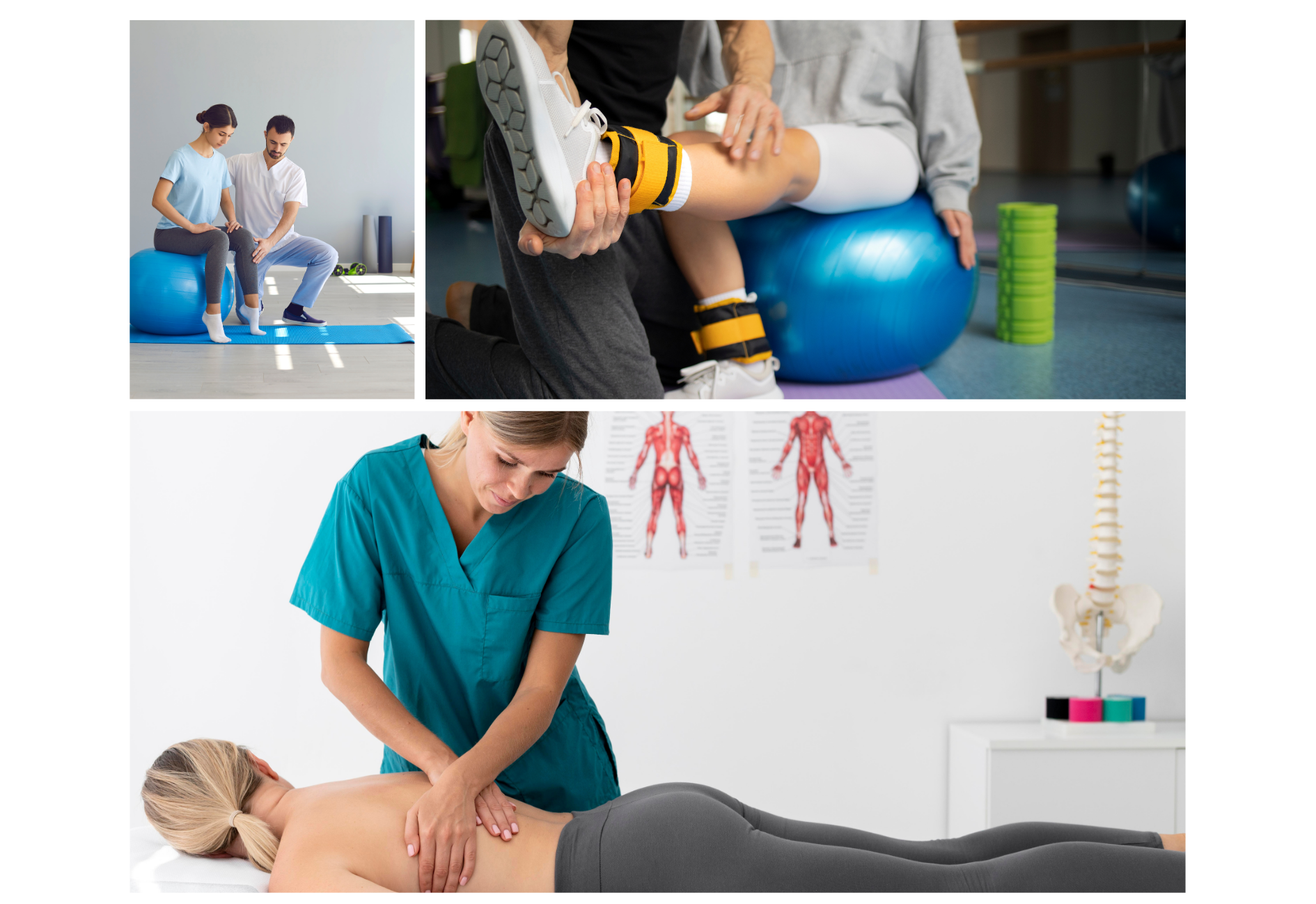 Physiotherapeutin und/oder Masseur (m/w/d)